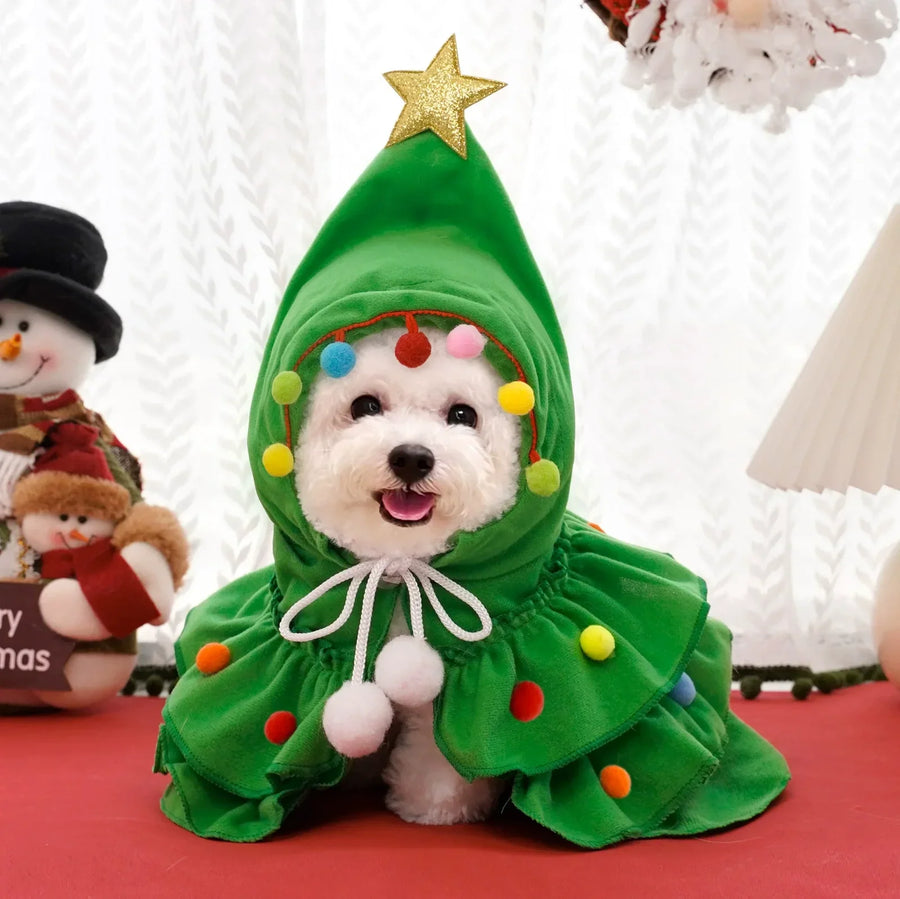 Roupinha Pet Encanto de Natal | Seu Pet no Espírito Natalino